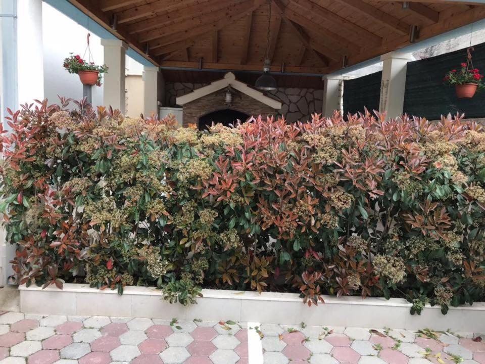 Apartmani Mane Trogir Buitenkant foto