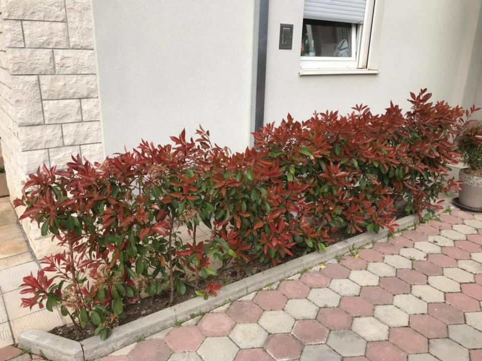 Apartmani Mane Trogir Buitenkant foto